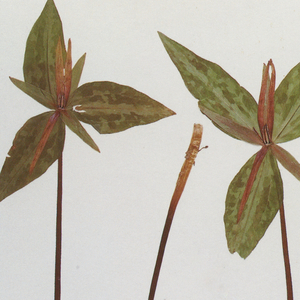 男男GayGays✅✅修电脑
