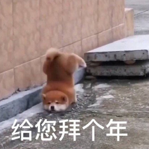 男男GayGays✅✅修电脑
